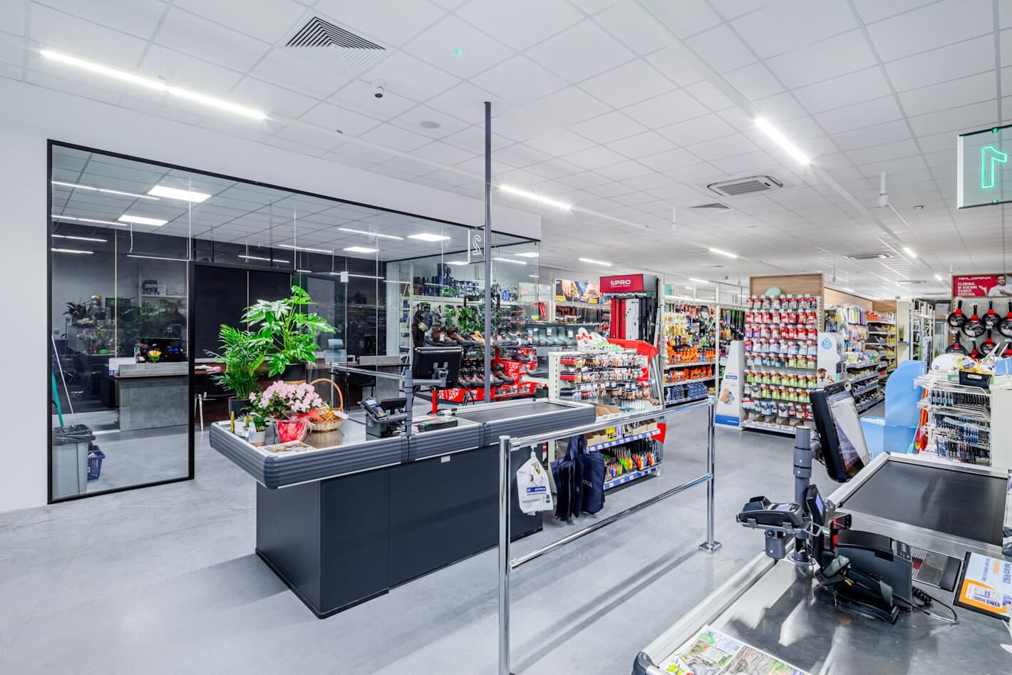 Mrowka Miekinia Sala Sprzedazy Oswietlenie Linea S Led Dot Cr Led