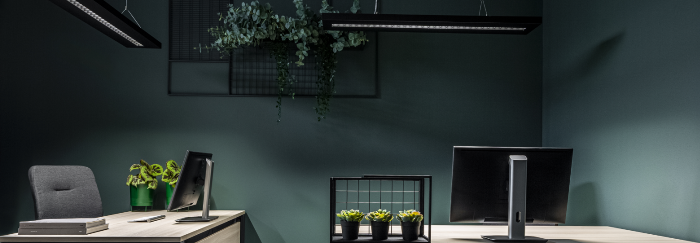 Lena Lighting office