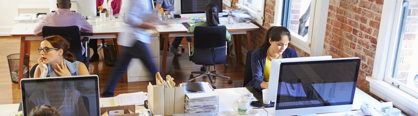 Lena Lighting people in the office