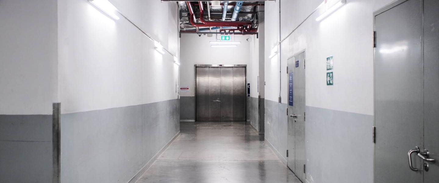 Lena Lighting modern basement